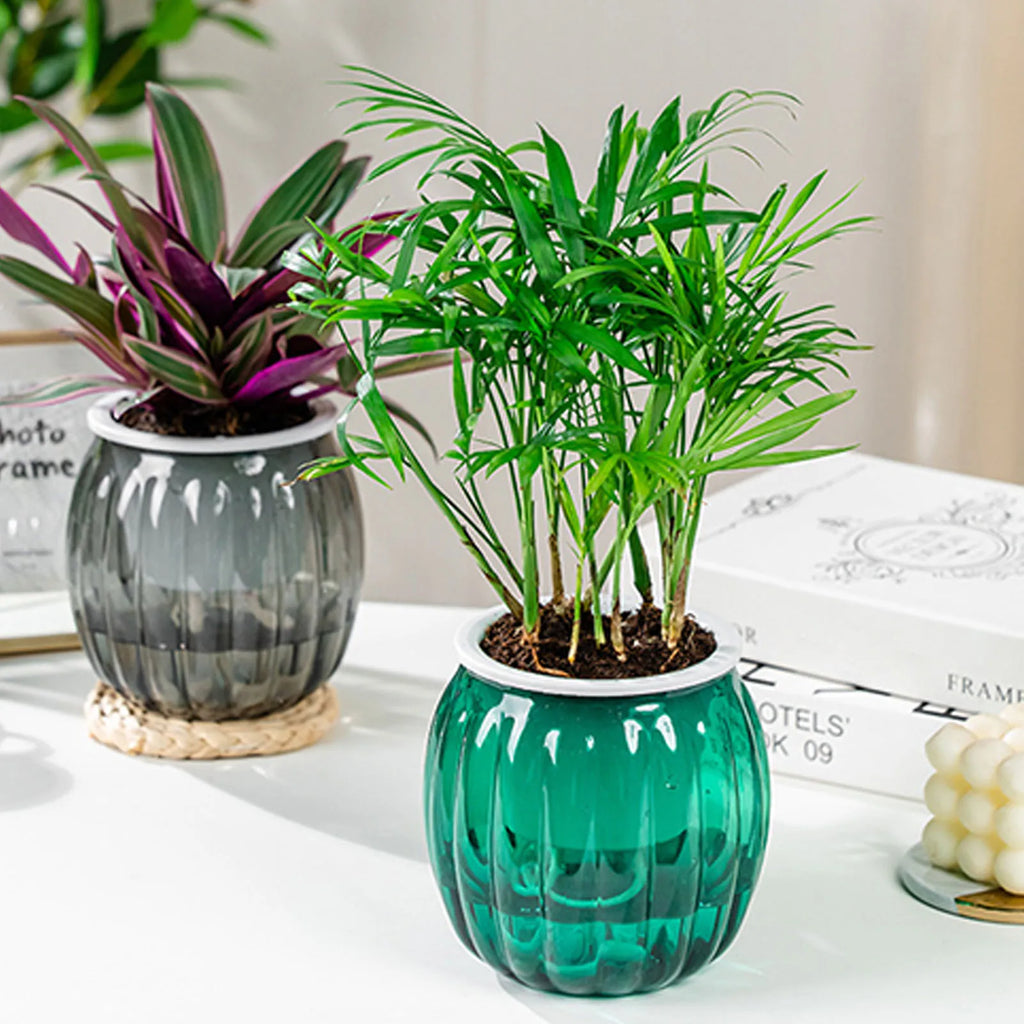 Two ribbed, transparent glass self-watering pots containing a small palm and a purple-and-green plant on a white table.