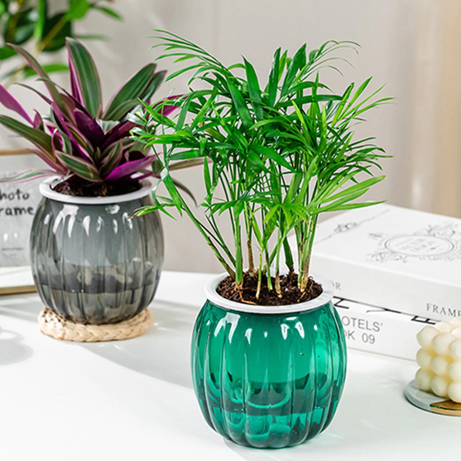 Two ribbed, transparent glass self-watering pots containing a small palm and a purple-and-green plant on a white table.
