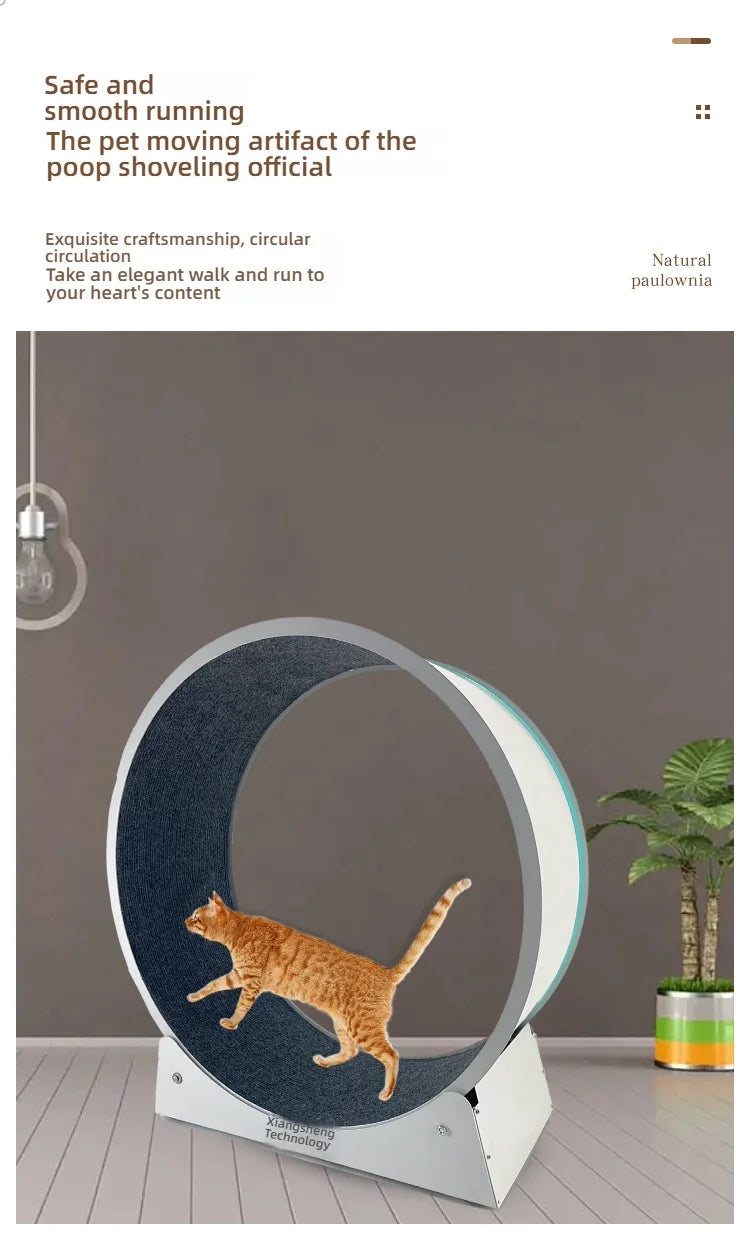 Ginger cat running inside a modern, circular white pet exercise wheel with a dark grey textured interior track.