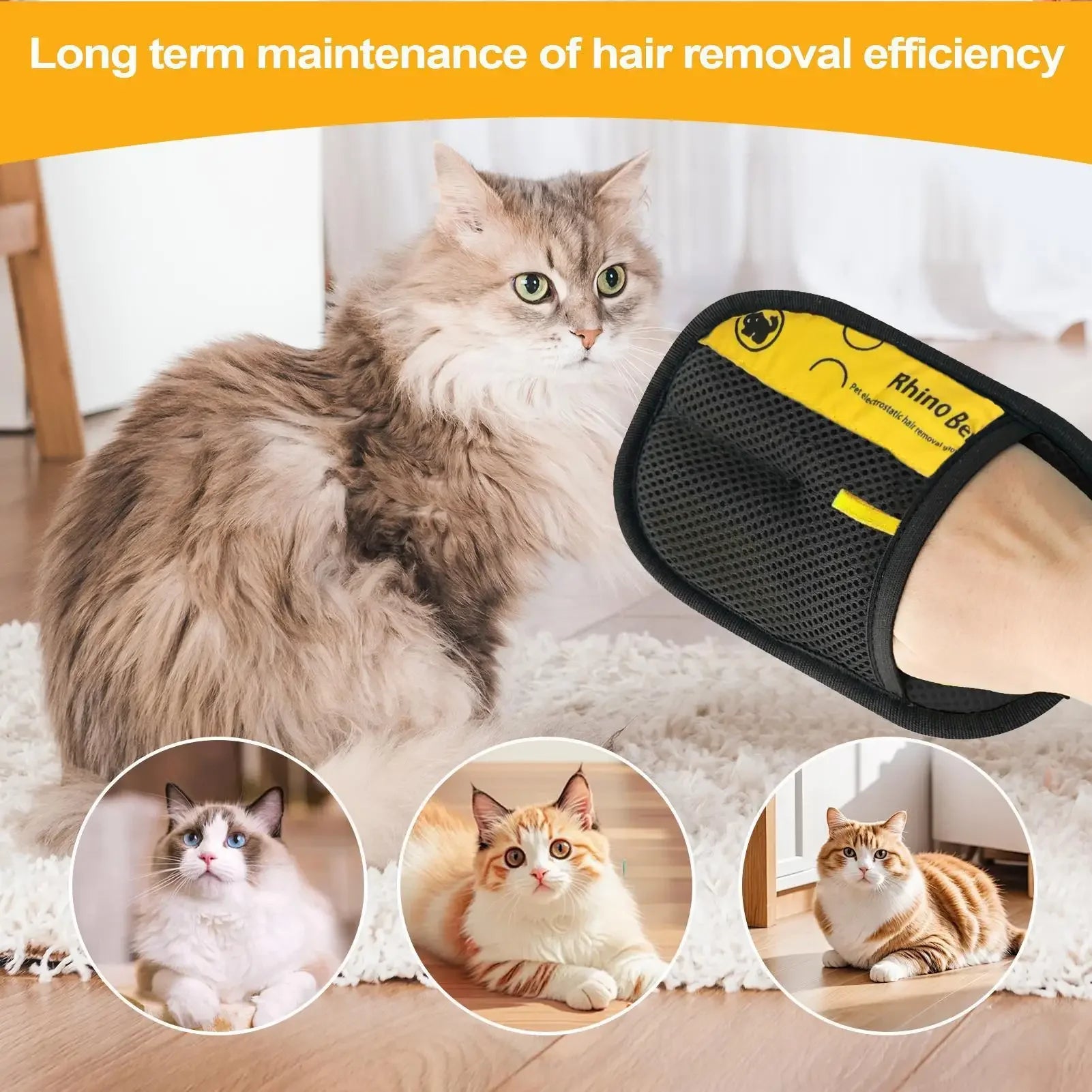 A hand wearing a black and yellow pet hair removal glove next to a long-haired cat, with three inset cat photos.