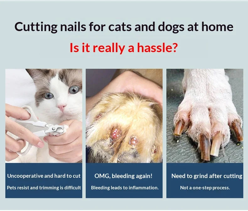Infographic showing common pet nail trimming struggles: difficulty, bleeding, and the need for post-trim filing.