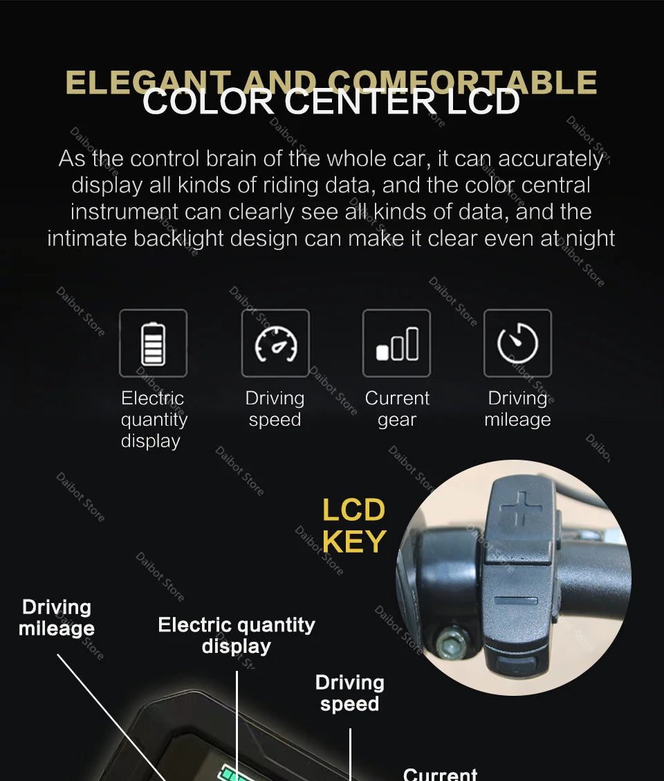 Powerful Electric bike 750W 48V Fat Tire bike