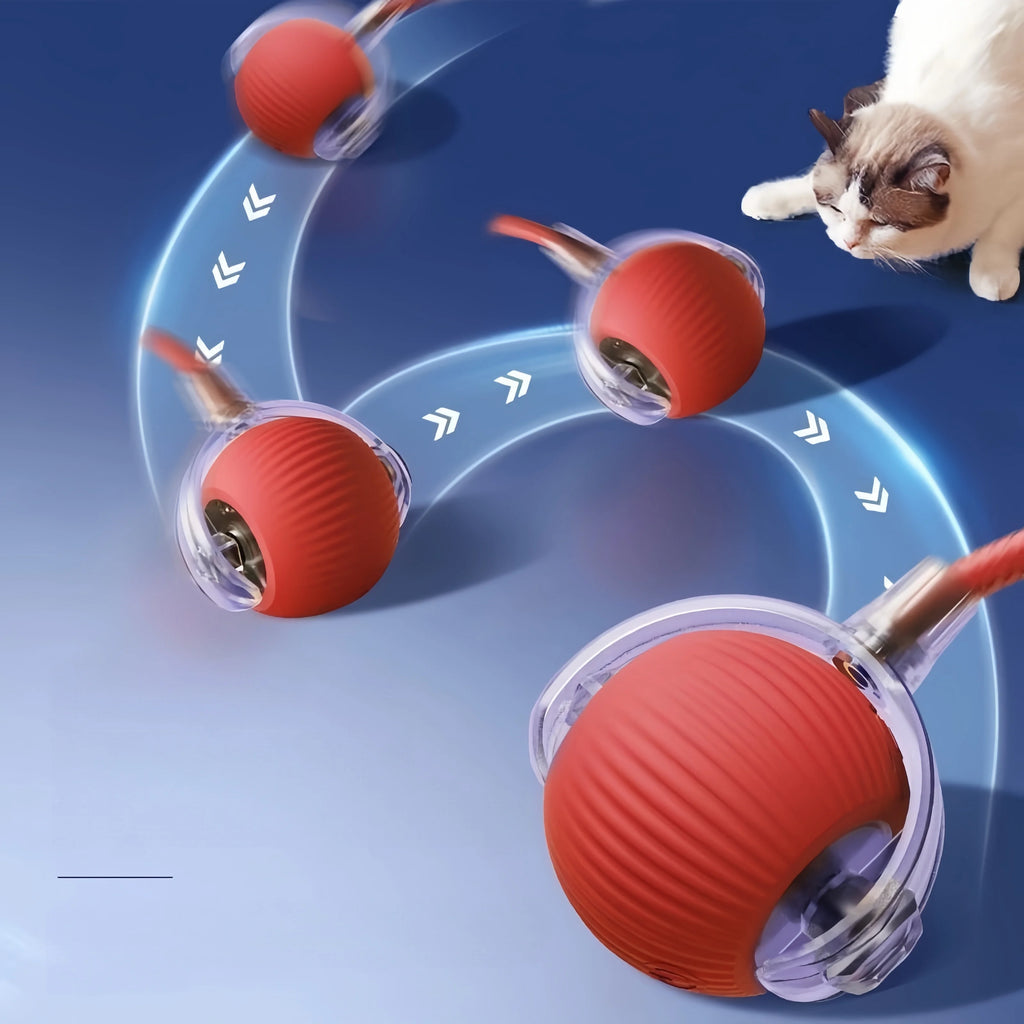 An interactive, red ridged ball toy moves across a blue floor, engaging a cat as it rolls along a curved path.