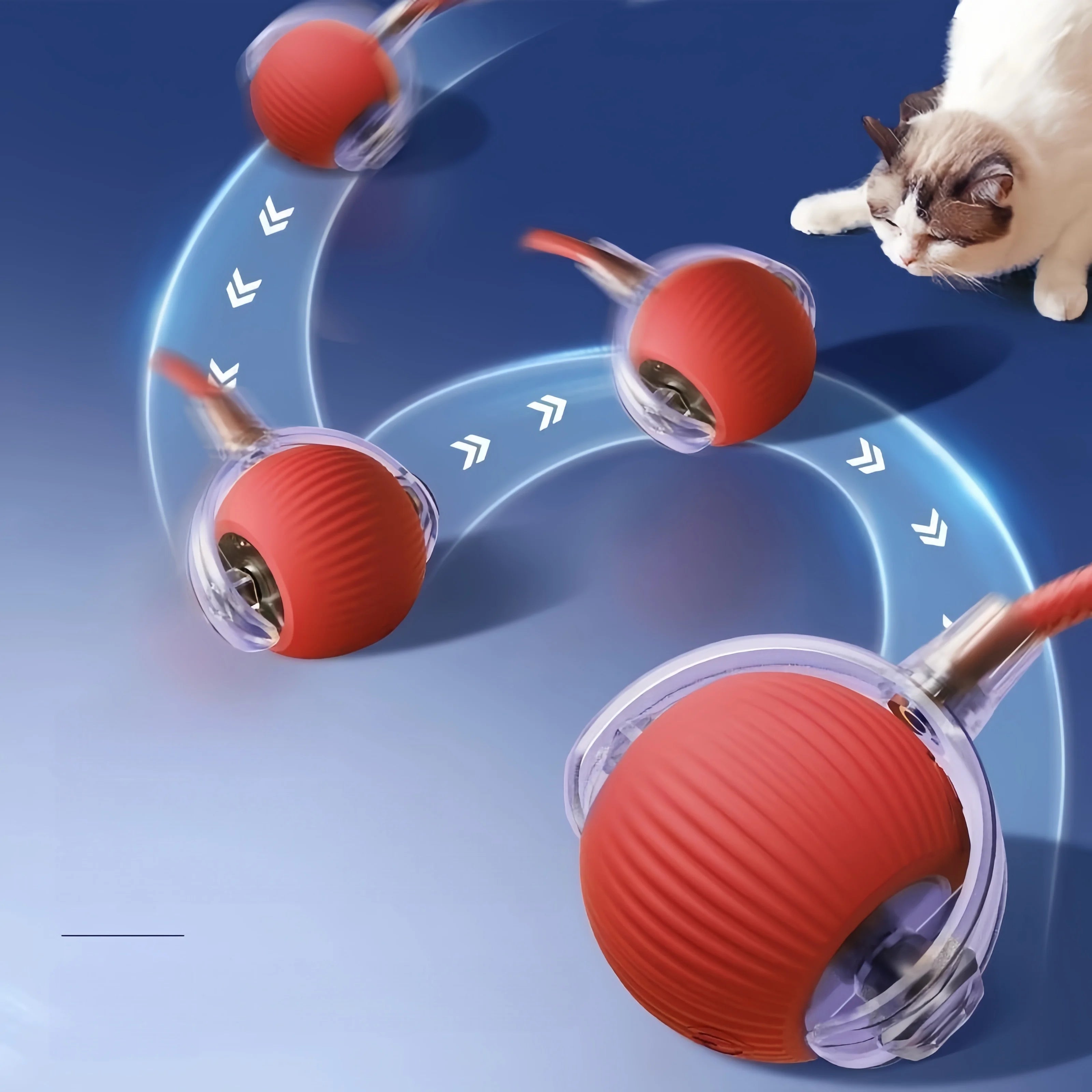 An interactive, red ridged ball toy moves across a blue floor, engaging a cat as it rolls along a curved path.