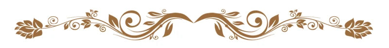 The provided image is a brown, symmetrical, decorative floral filigree divider with swirl and leaf motifs.
