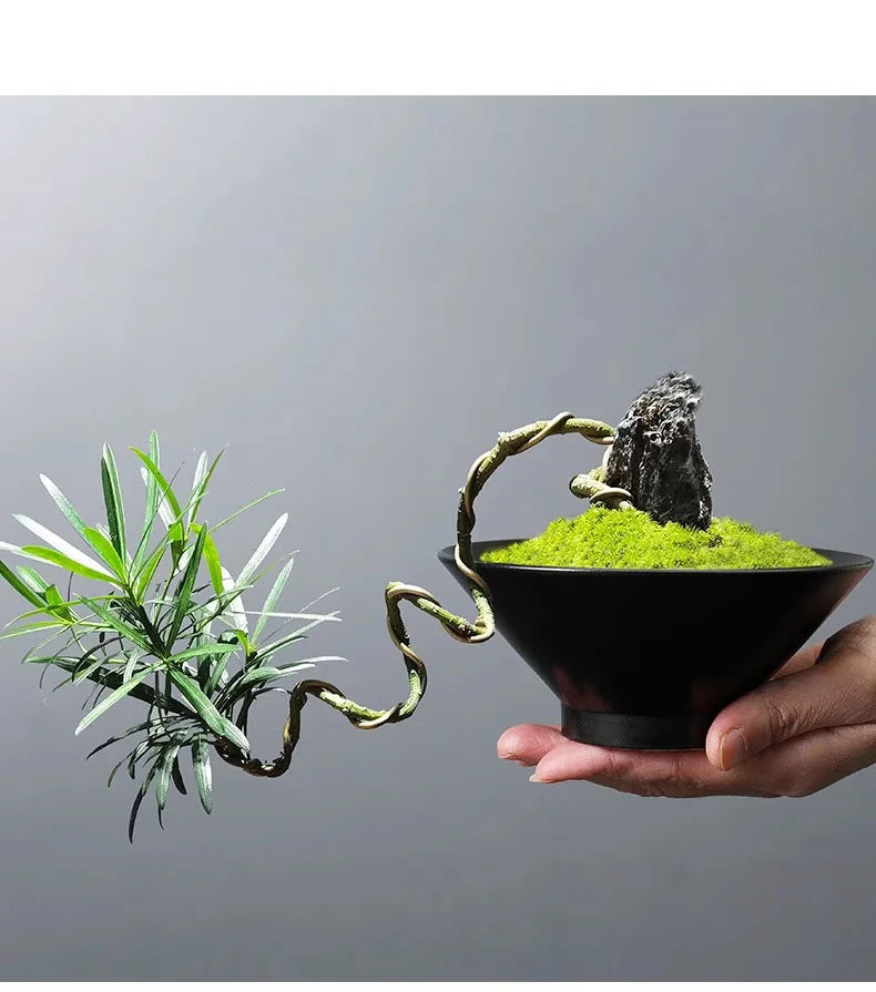 A hand holding a bonsai plant with a twisted trunk, green moss, and a decorative rock in a sleek black ceramic bowl.
