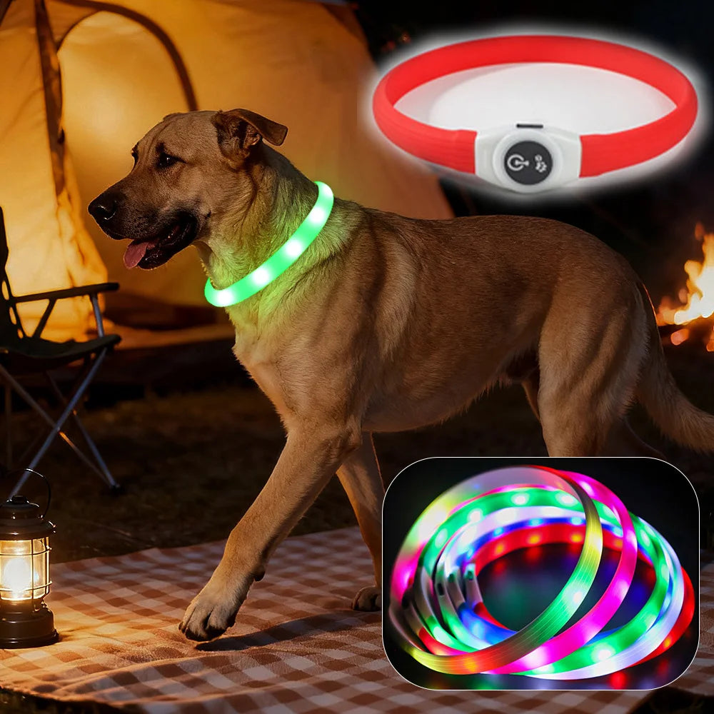 A dog wearing a bright green LED waterproof collar at a campsite, with additional views of red and multicoloured bands.