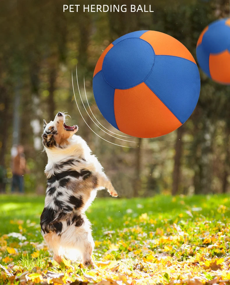 A dog plays with a large, fabric-covered interactive ball in vibrant blue and orange panels in a park setting.
