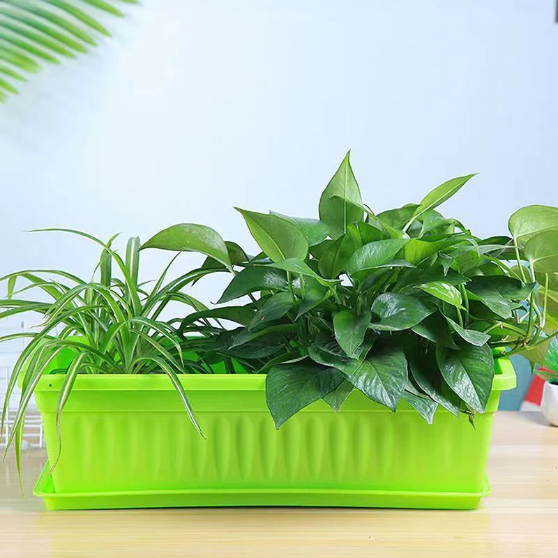 A bright lime-green rectangular plastic planter containing a spider plant and pothos sitting on a wooden table.