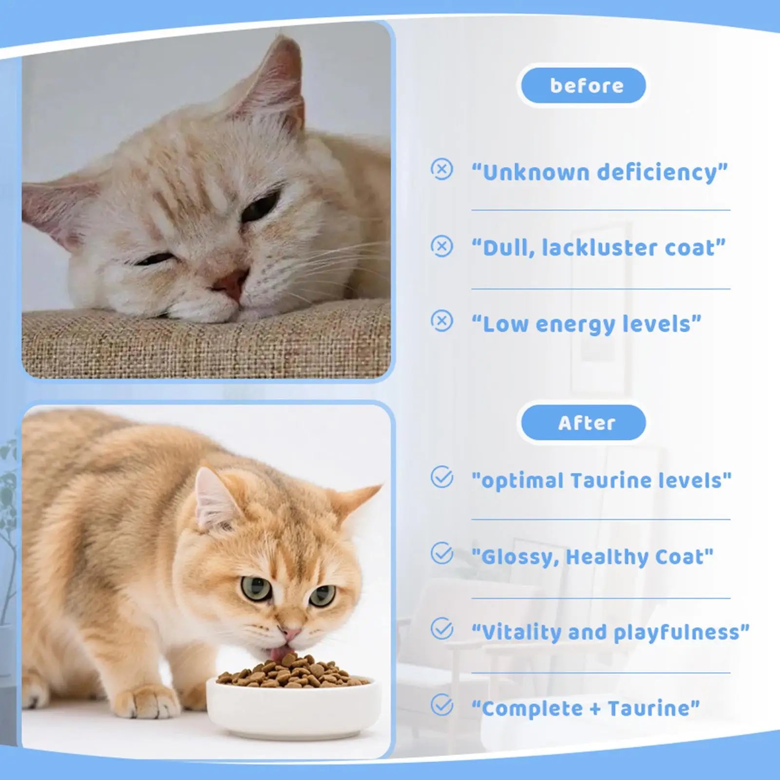 Before and after comparison showing a cat’s health improvements from taurine-enriched cat food.