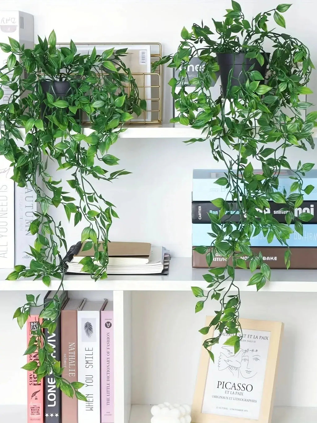 Two hanging artificial green ivy plants in black pots, displayed on white shelves among books and decorative frames.