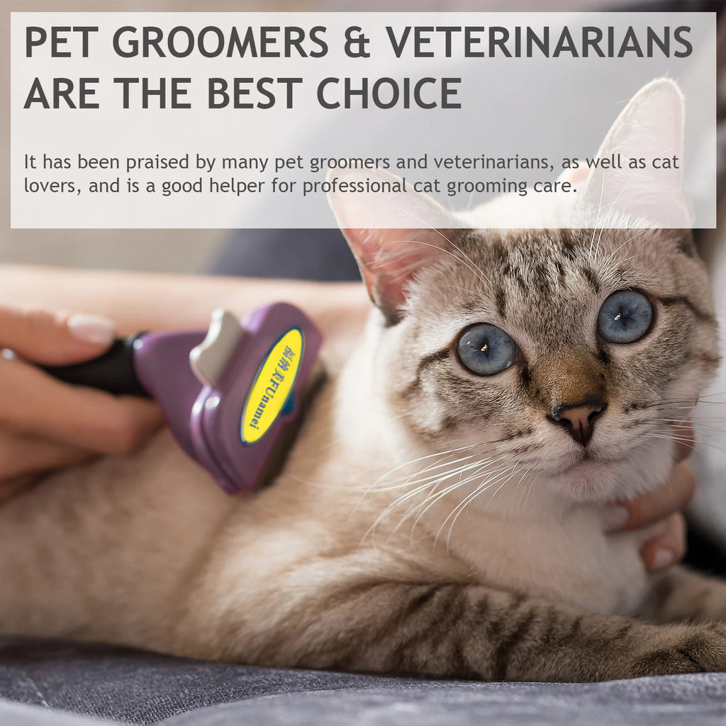 A hand using a purple slicker brush to groom a light-brown Siamese-style cat.