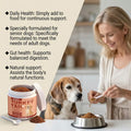 Woman adding bacon-flavored brown powder supplement from a white tub to a senior dog's food bowl for health support.