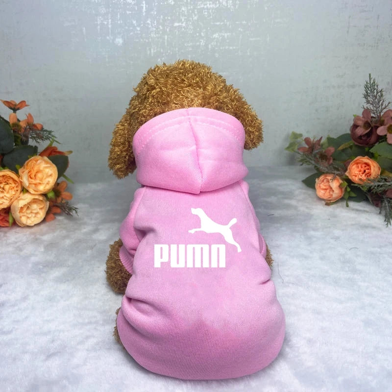 A small, fluffy dog wearing a casual, soft pink dog hoodie with a hood and white graphic print on the back.