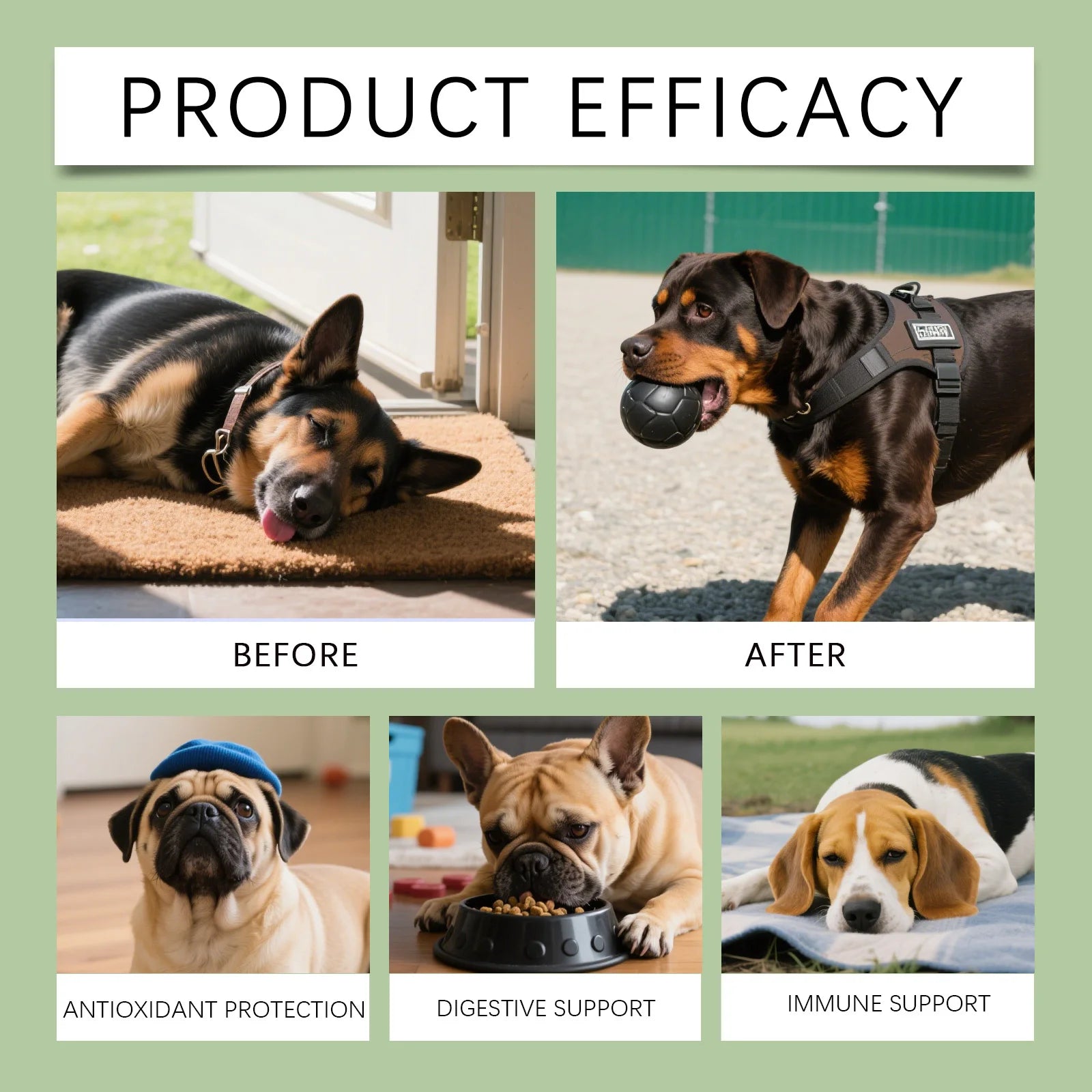 Dog supplement product efficacy chart showing improved energy, healthy eating, and immune support for various breeds.