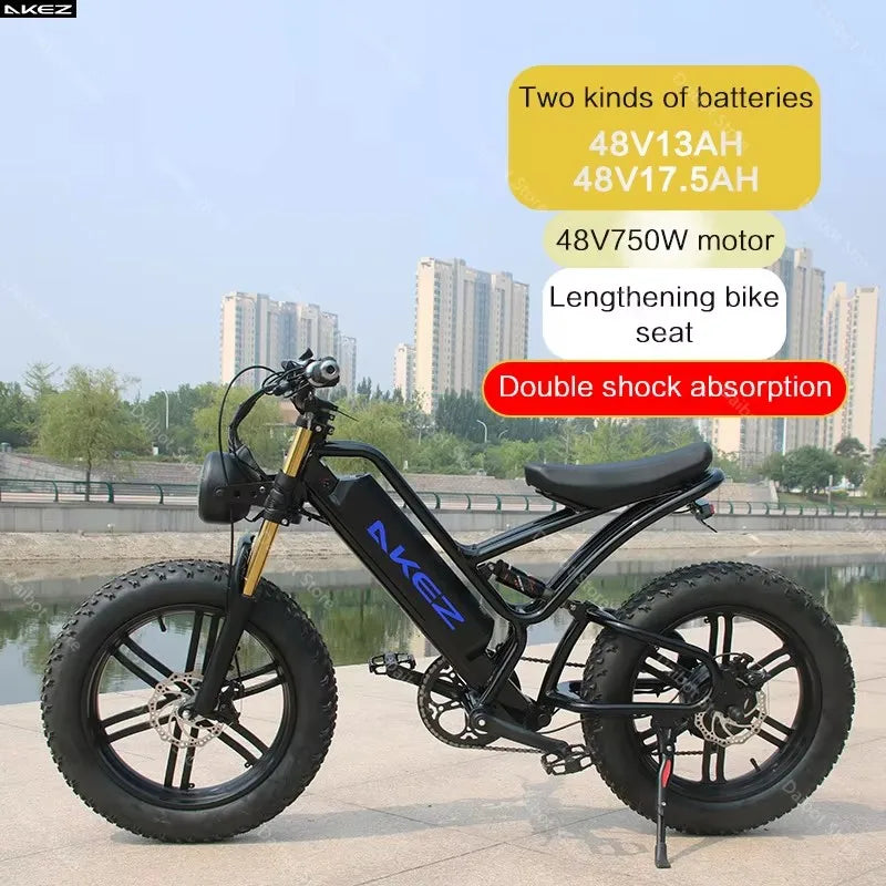 Powerful Electric bike 750W 48V Fat Tire bike