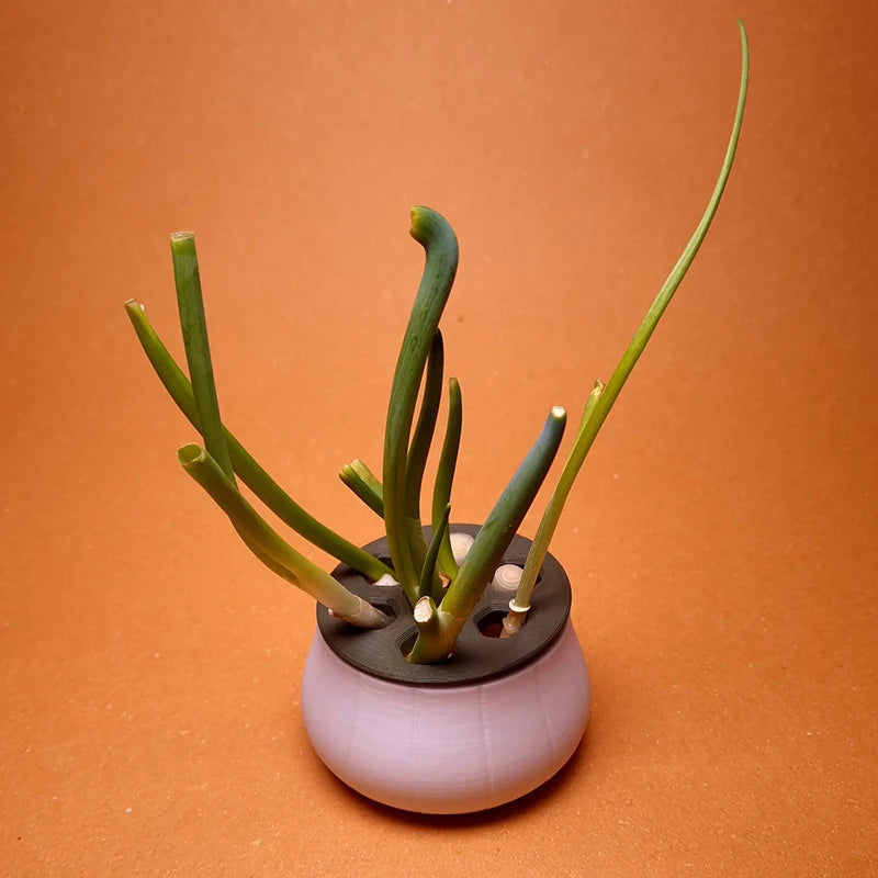 3D-printed hydroponic planter with a white base and black slotted lid, regrowing green onion stalks on orange backdrop.