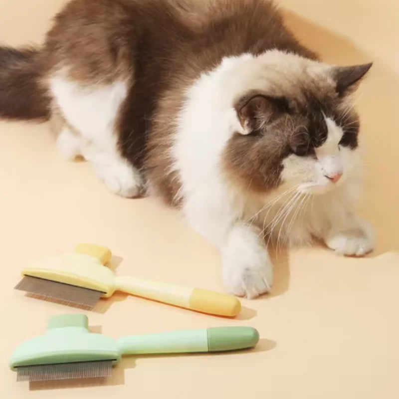 A fluffy cat lies beside two pastel-coloured pet grooming combs, one in yellow and one in sage green.