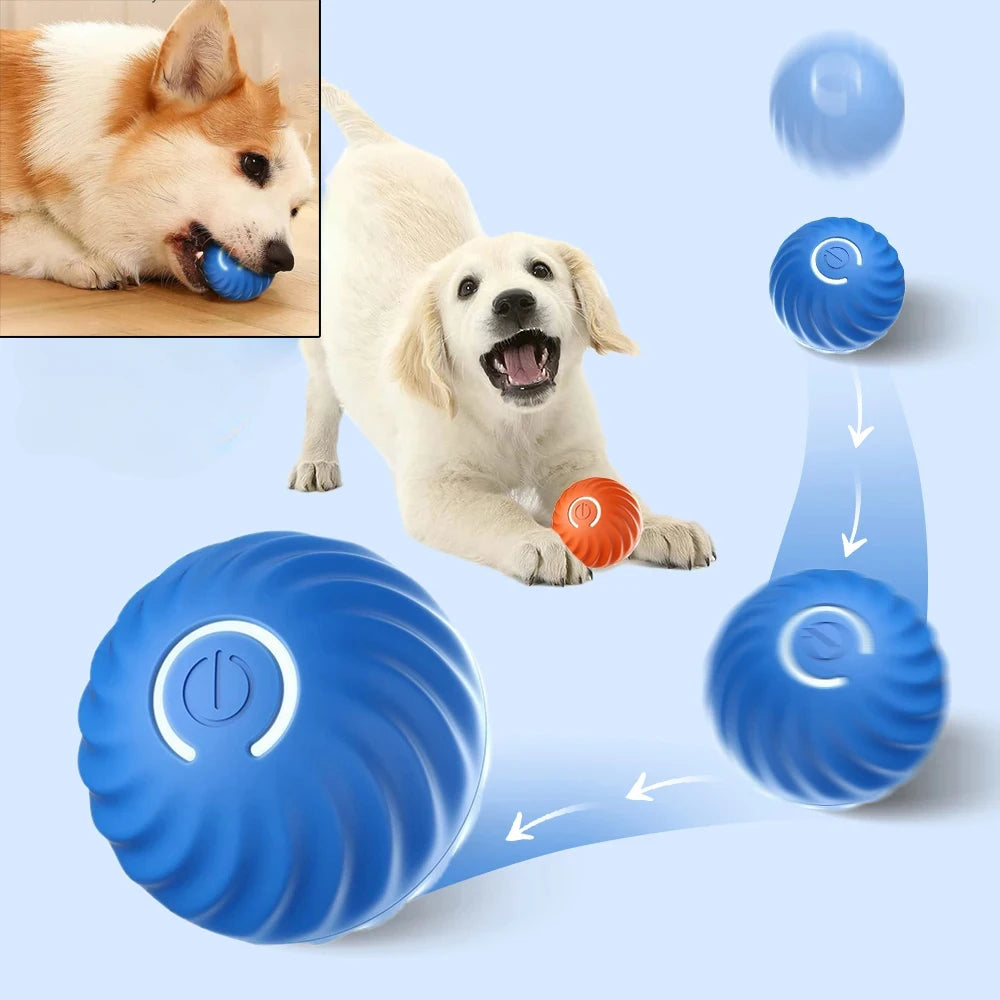 Automatic interactive toy balls for dogs in blue and orange, featuring a textured spiral design and power button.
