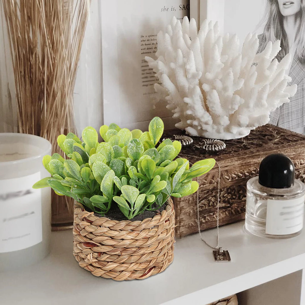 Small artificial green plant in a woven basket pot, displayed on a shelf with a white coral sculpture and decor.