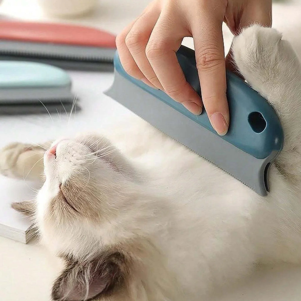 A hand using a teal and grey handheld pet grooming tool to brush the fur of a relaxed white cat.