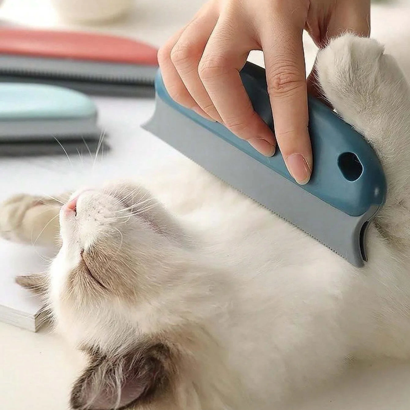A hand using a teal and grey handheld pet grooming tool to brush the fur of a relaxed white cat.