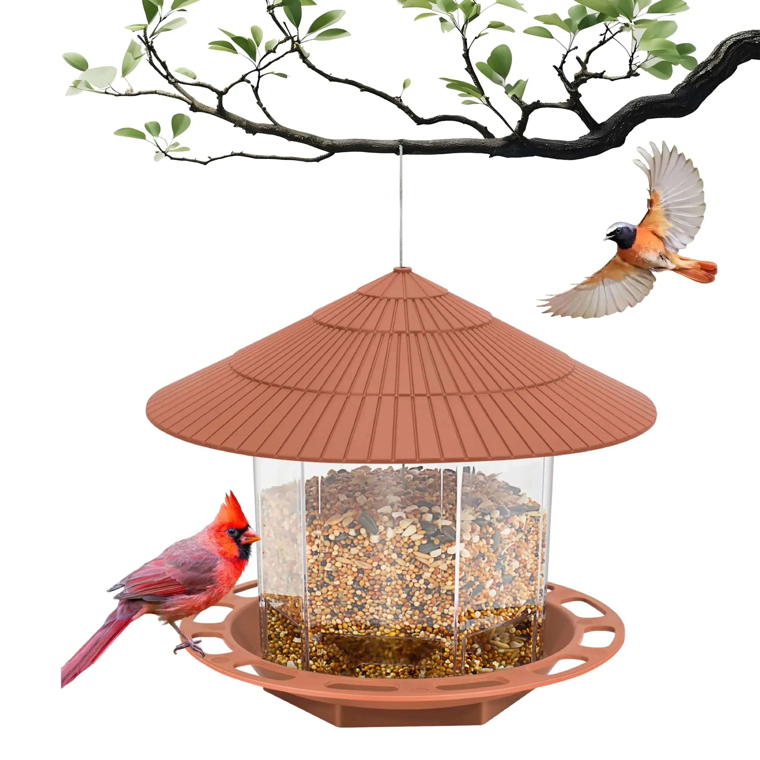 Hexagonal hanging bird feeder with a terracotta-colored roof and base, clear seed container, and two visiting birds.