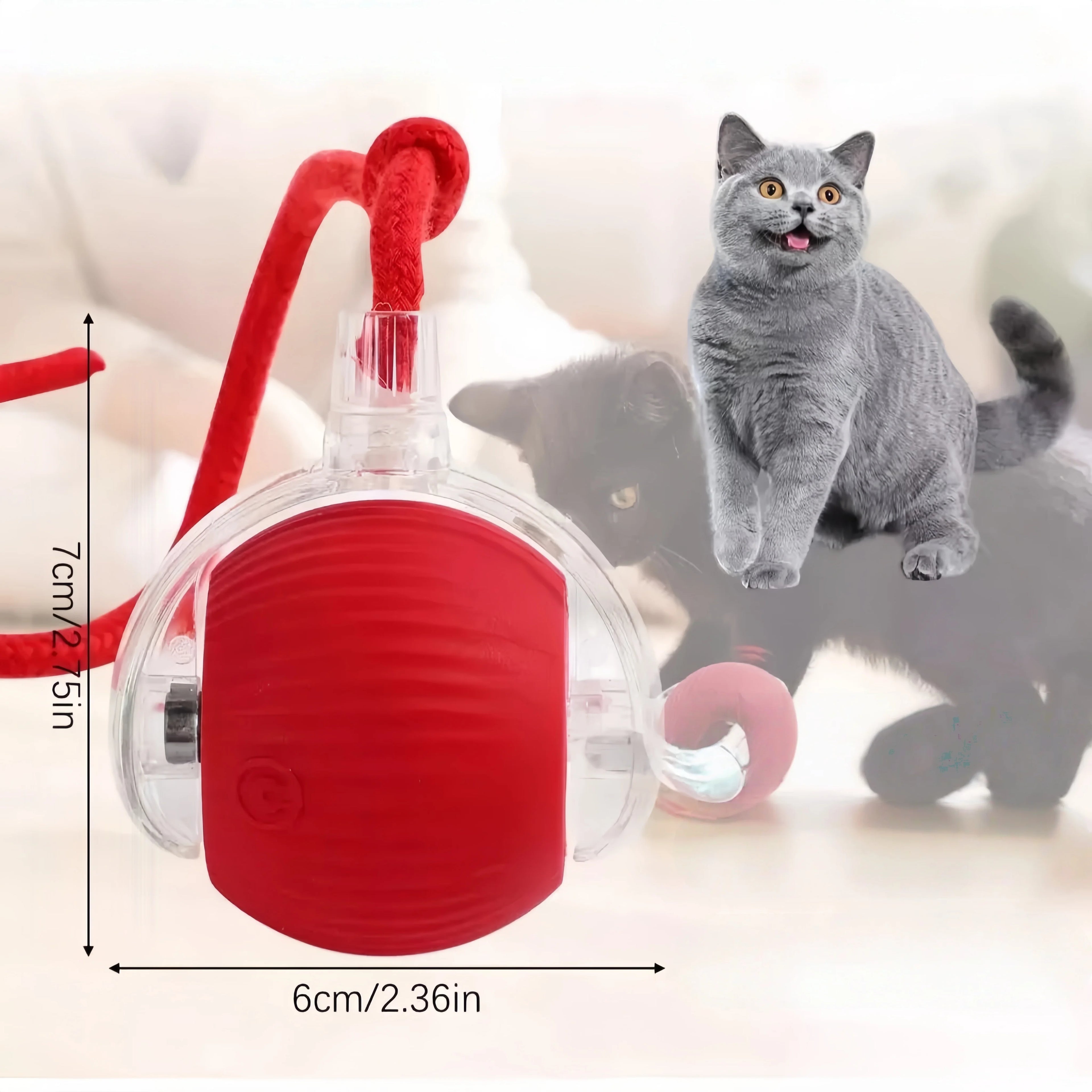 An interactive, spherical red pet toy with a clear outer shell, red rope attachment, and pet-friendly design.