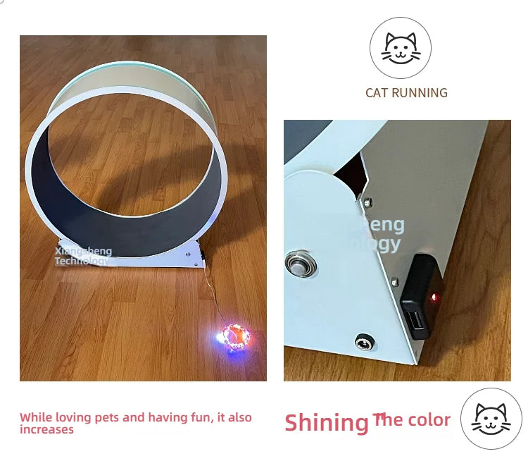 White interactive pet exercise wheel with a dark grey running surface and a small, colourful light-up toy on a cord.