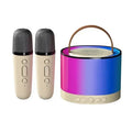 Portable karaoke set with two cream-coloured microphones and a cylindrical speaker featuring vibrant RGB lighting.