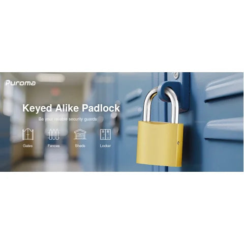 Gold-colored brass padlock with a silver steel shackle, used to secure a blue school locker.
