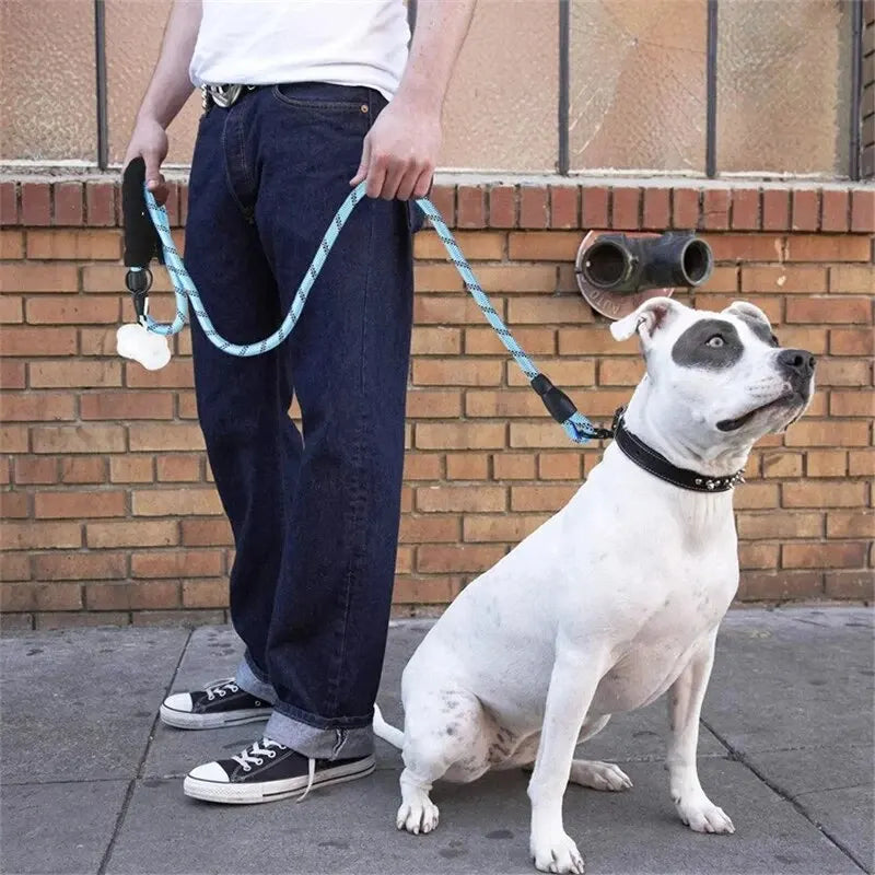 Person holding a light blue reflective rope dog lead with a black padded handle, attached to a white dog in a collar.