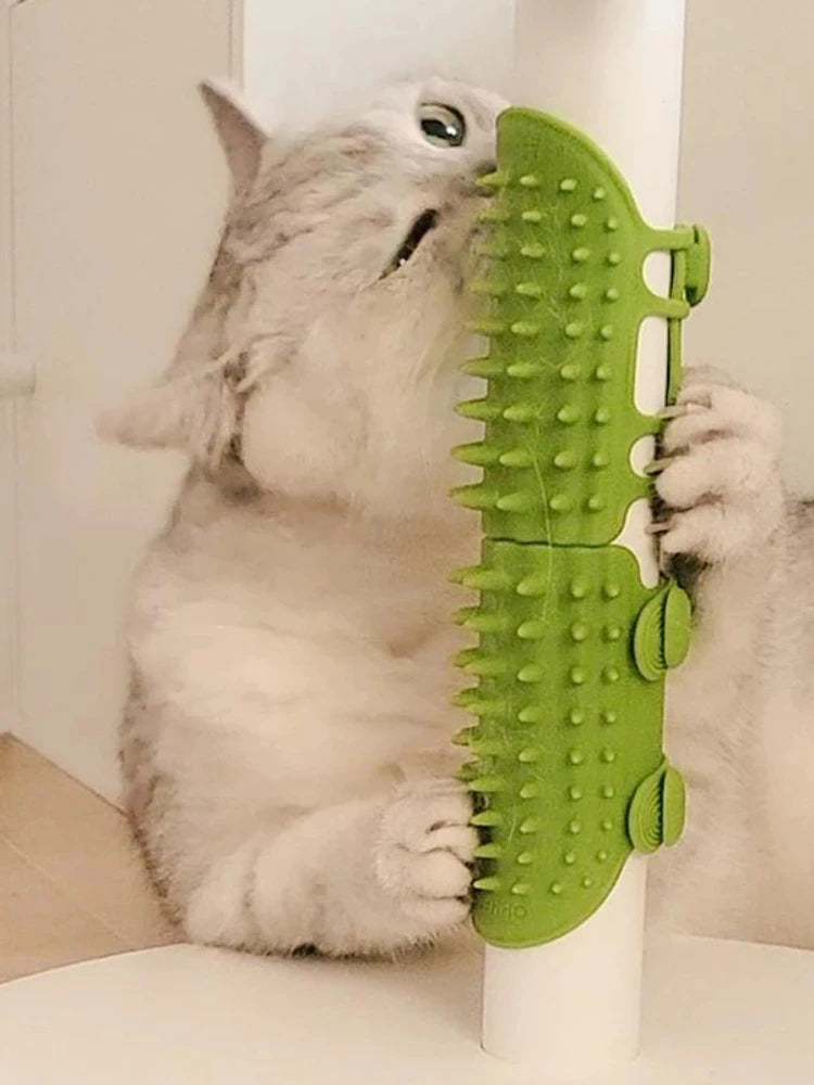A light grey cat rubbing its face against a lime green, spiky rubber grooming brush attached to a white pole.