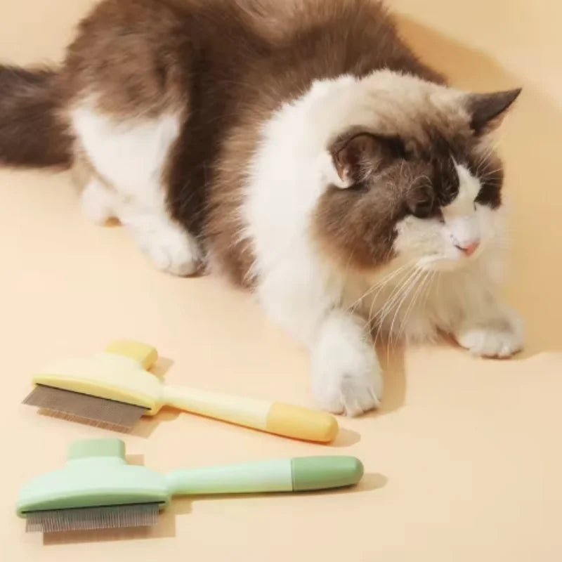 Two pet grooming combs with pastel yellow and green handles lying on a beige surface next to a fluffy cat.