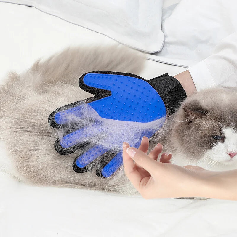 Blue pet grooming glove with silicone bristles, being used to remove fur from a fluffy cat.