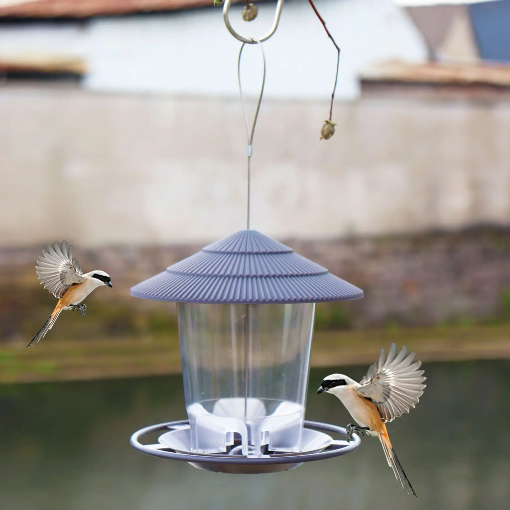 Hanging bird feeder with a clear reservoir and grey ridged roof, being approached by two small birds.