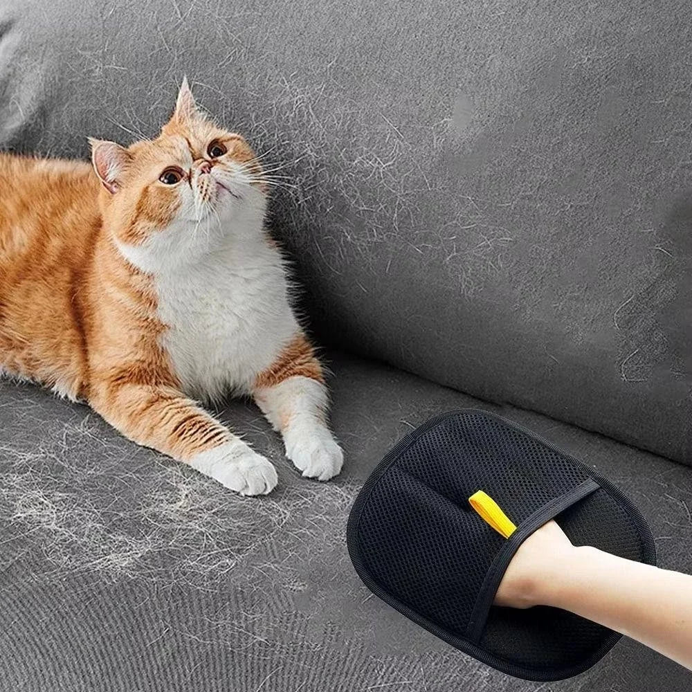 Black mesh pet hair removal mitt on a hand, near a ginger cat on a grey, hair-covered sofa.