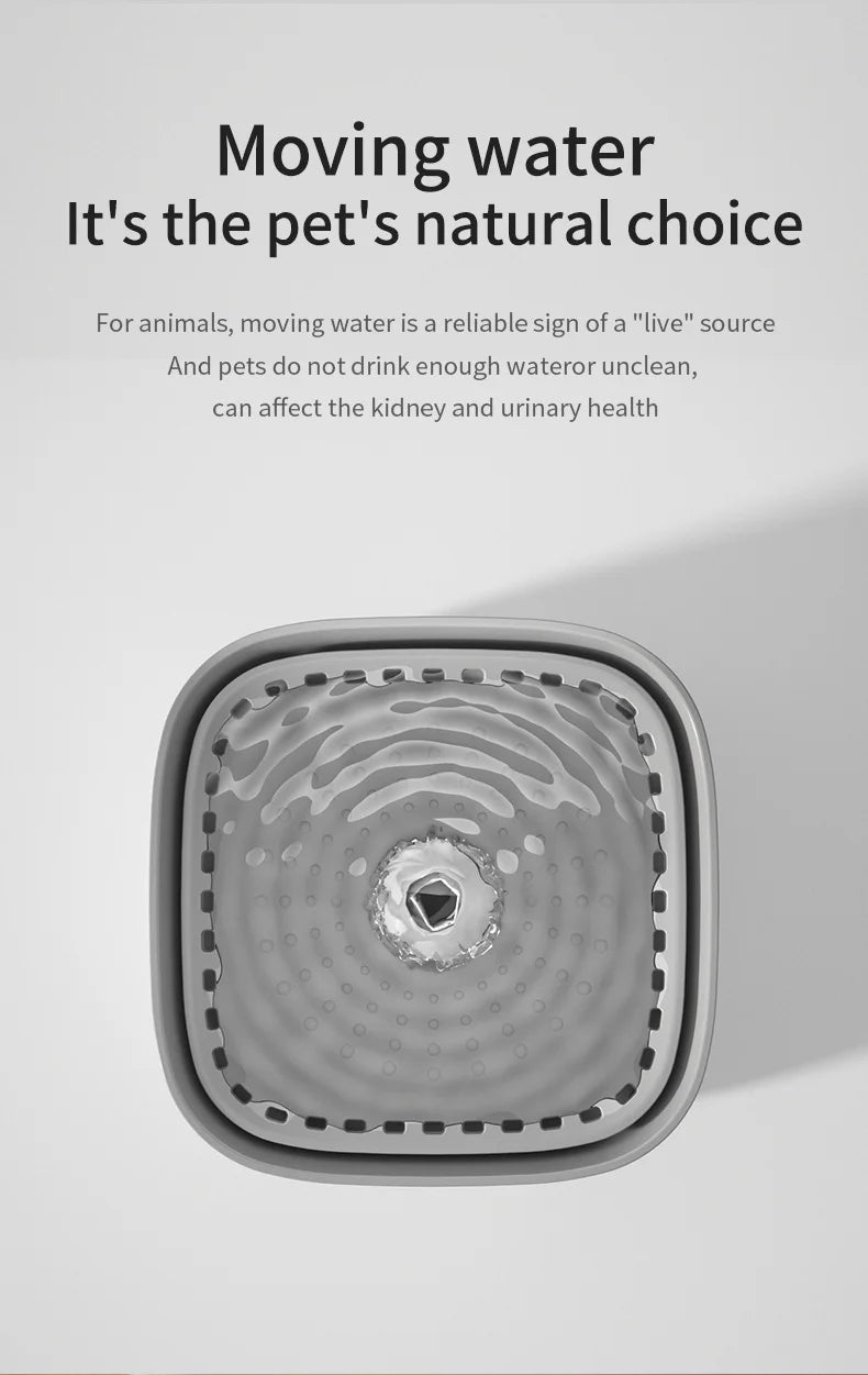 Top-down view of a grey square pet water fountain with rippling water flowing from the center.