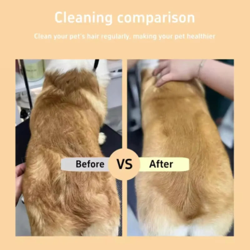 Before and after comparison of a golden-coated dog's fur showing the results of grooming.