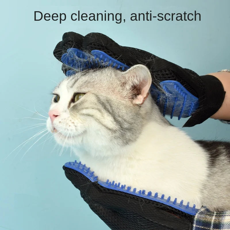 A grey and white tabby cat being groomed with a black mesh glove featuring blue rubber silicone bristles.