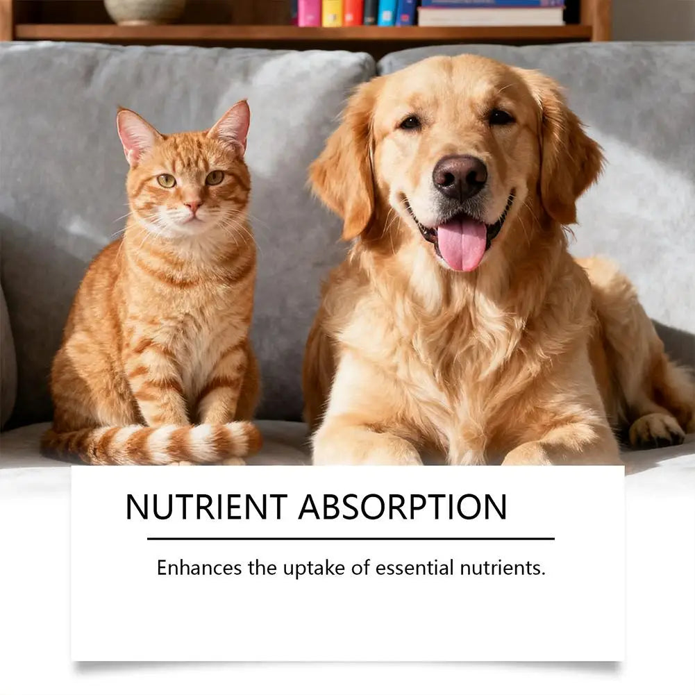 An orange tabby cat and a golden retriever sit together on a sofa above text about nutrient absorption benefits.