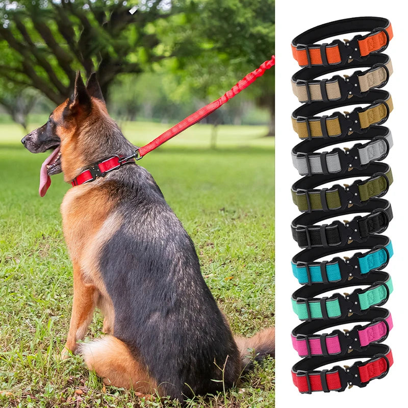German Shepherd wearing a wide red nylon dog collar with a heavy-duty metal buckle, with color options stacked.