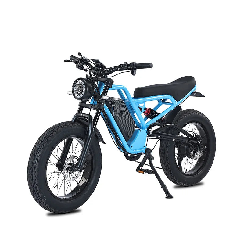 1500W Electric bike Fast 20 * 18ah Road Bike with 48v Smart Electronics