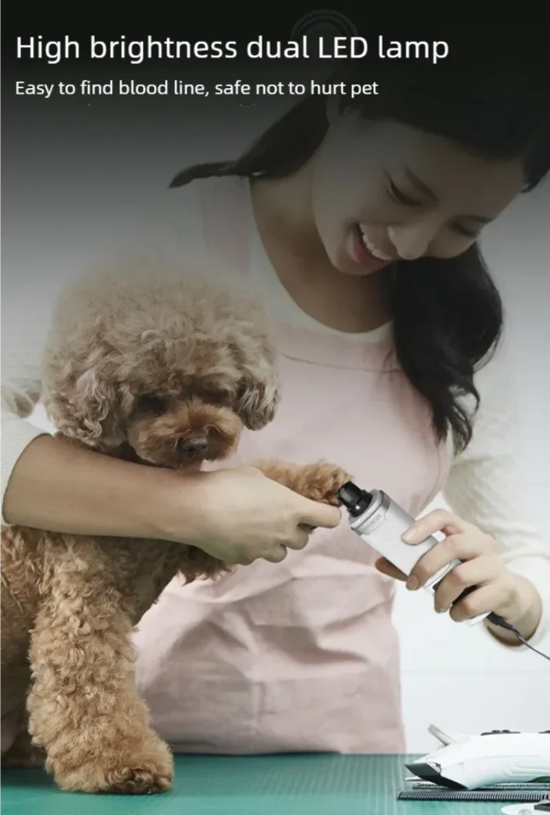A person using a sleek, silver electric pet nail grinder with an LED light to trim a curly-haired dog's nails.