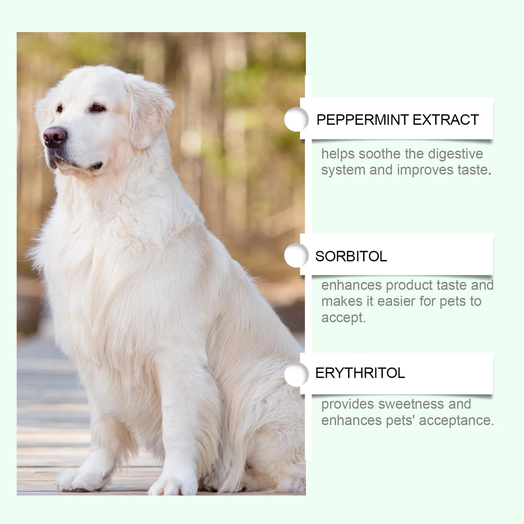 A white Golden Retriever with an infographic listing pet-friendly ingredients: Peppermint, Sorbitol, and Erythritol.