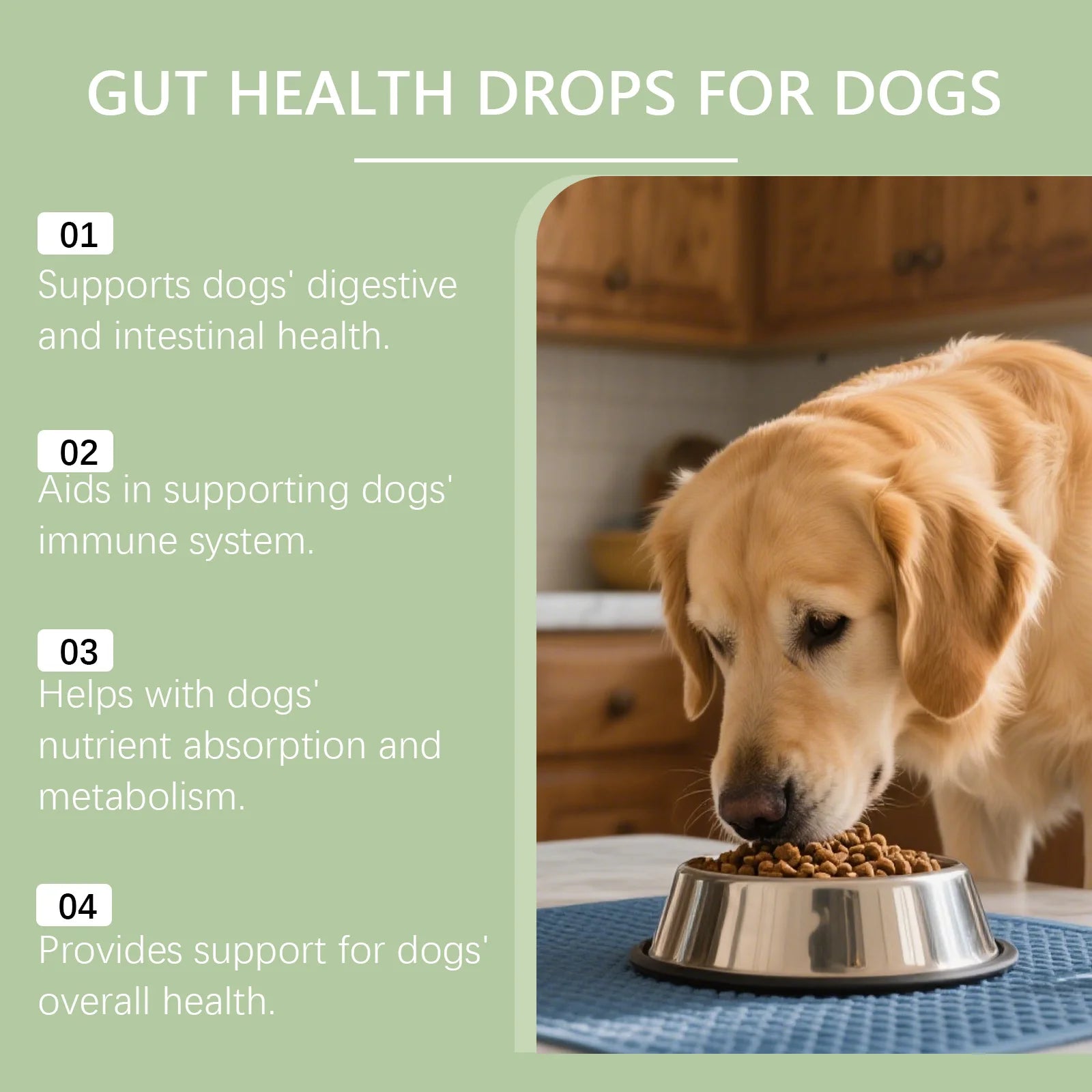 Golden retriever eating from a bowl, with text listing gut health supplement benefits for dogs on a light green background.