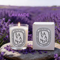 Lit lavender-scented candle in a glass jar with matching box, set on a stone surrounded by lavender flowers.