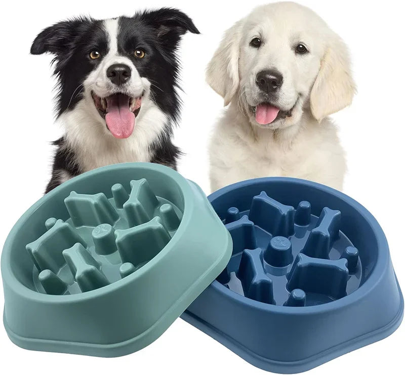 Two dogs sitting behind one teal and one blue puzzle dog bowl with raised bone-shaped ridges for slow eating.