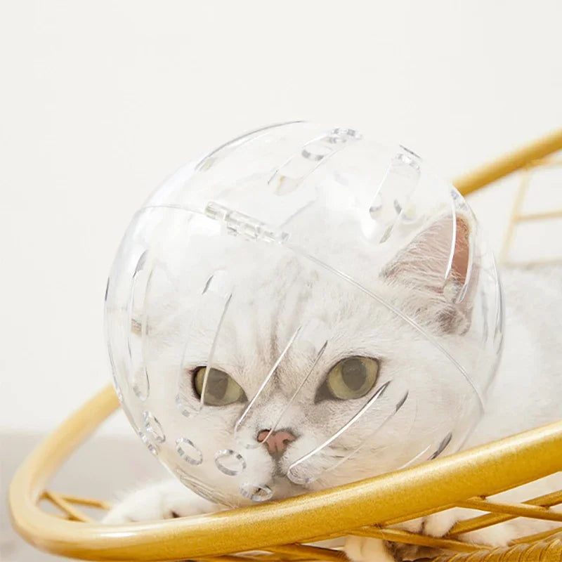 Clear, breathable, spherical cat grooming muzzle with ventilation slots, worn by a white cat on a gold chair.