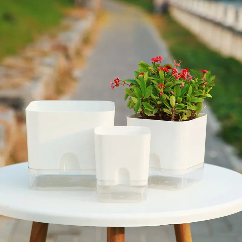 Three modern white square self-watering planters on a table, one containing a small green plant with red flowers.